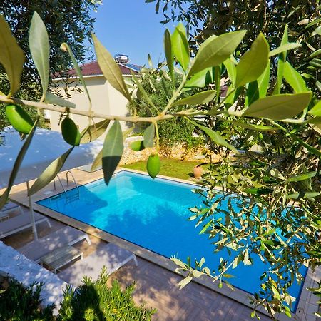 Thassian Villas Лименас Екстериор снимка